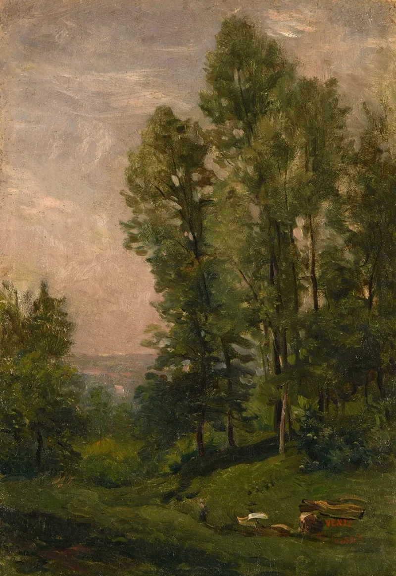 Paysage Stade De Creation Etude