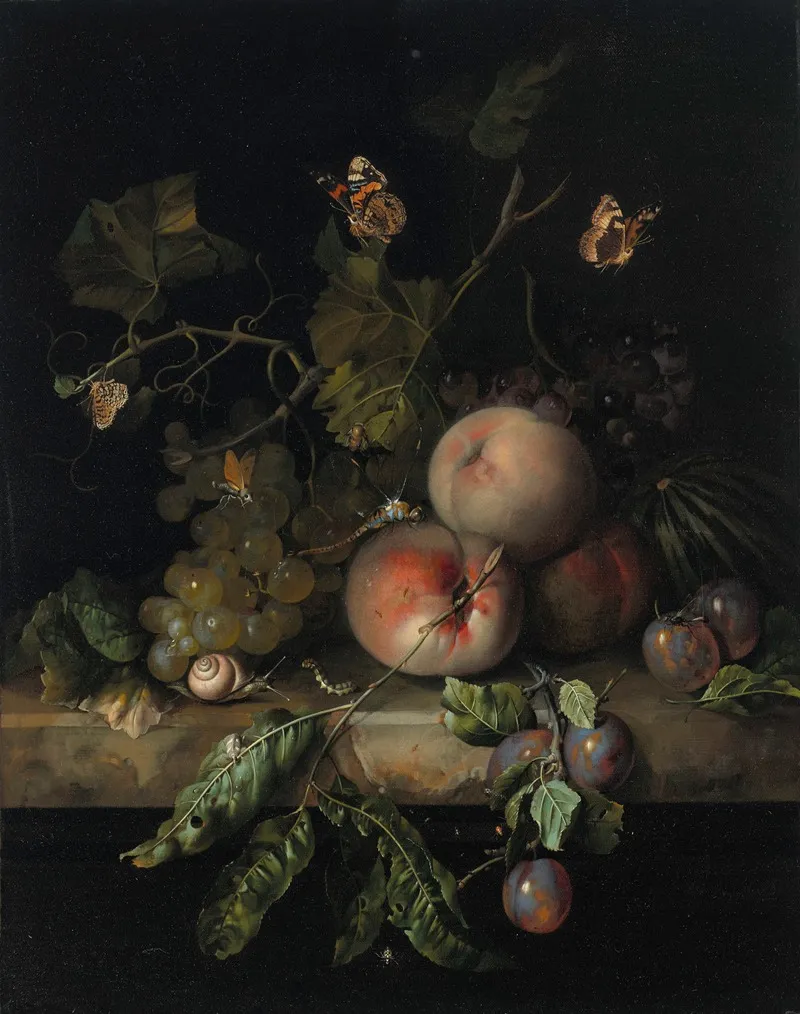 Peaches Grapes And Plums With A Dragonfly Snail Caterpillar Butterfly And Other Insects On A Stone Ledge