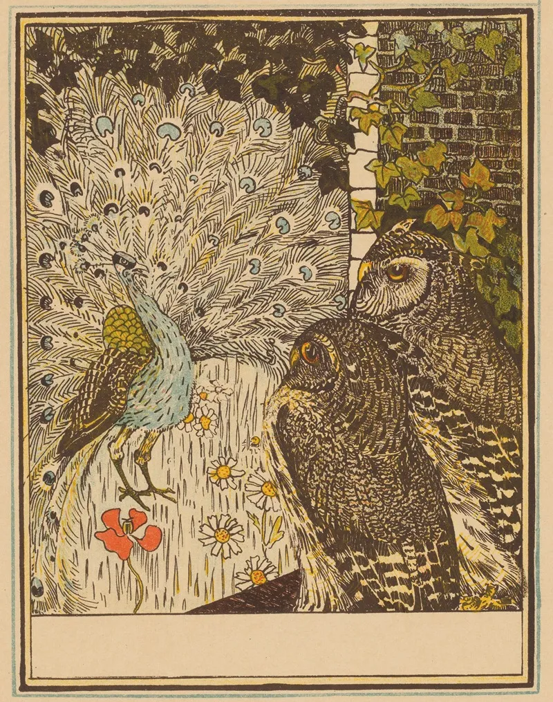 Peacock And Two Owls