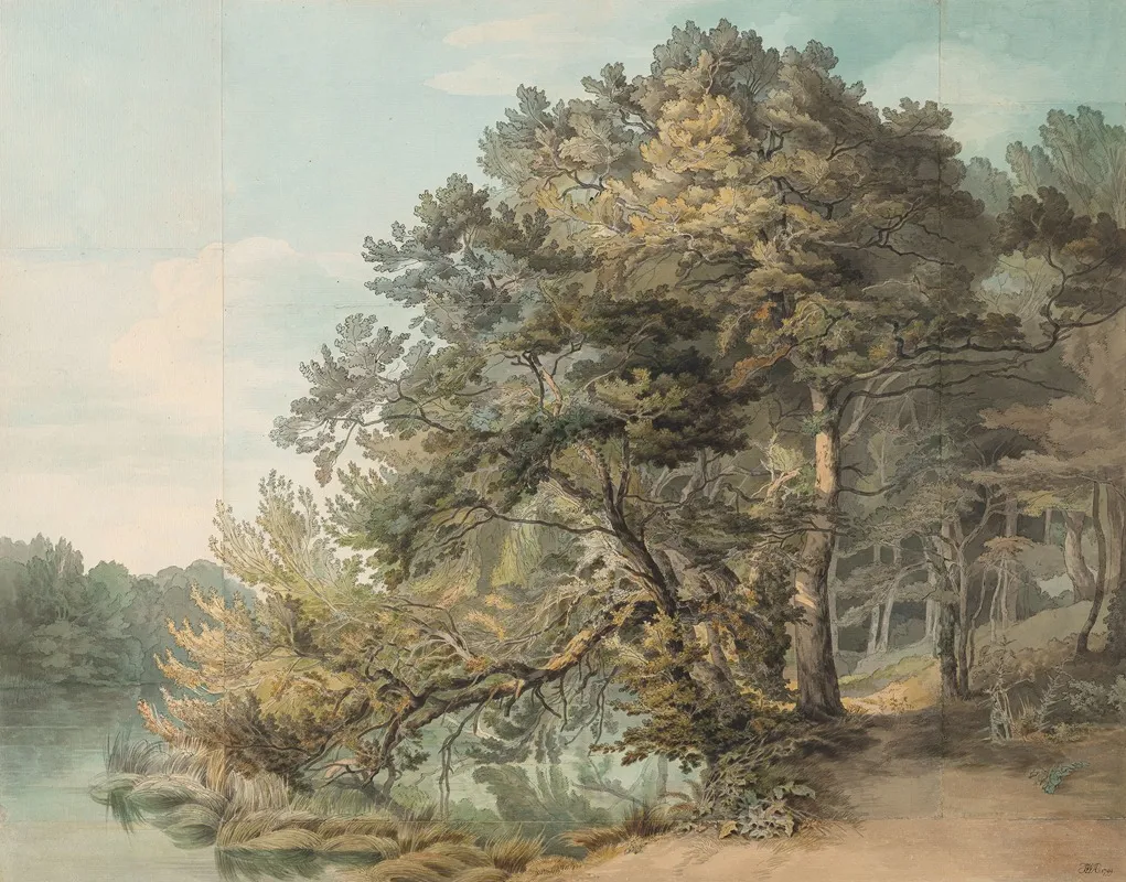 Peamoredevon by John White Abbott - Canvas Print