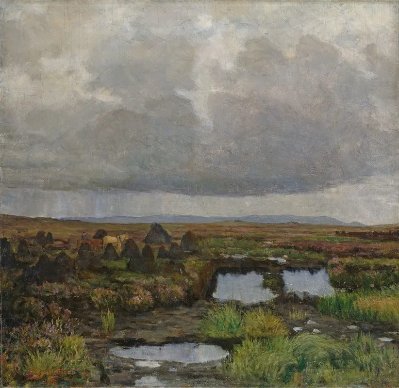 Peat Bog On Jaeren
