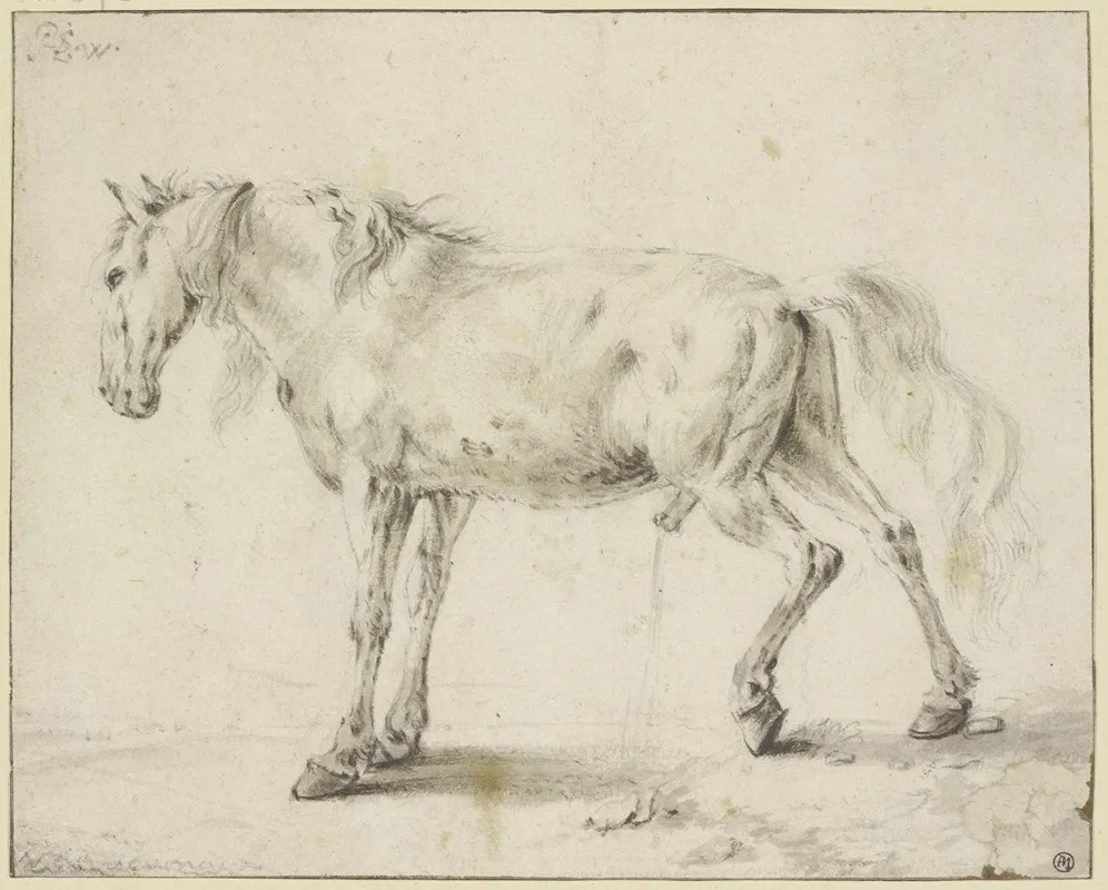Peeing Horse