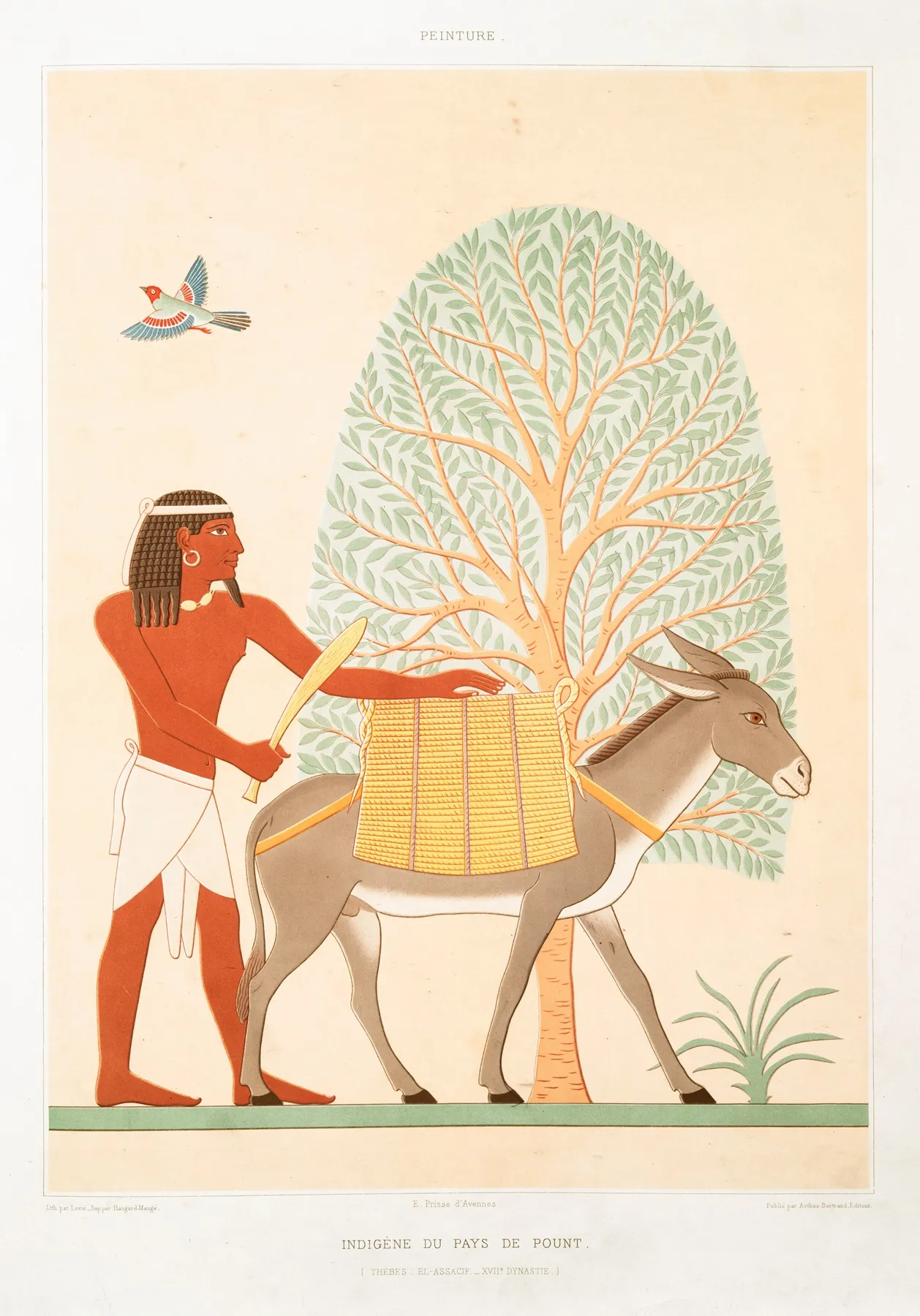 Peinture Indigene Du Pays De Pount Thebes El Assacif Xviie Dynastie