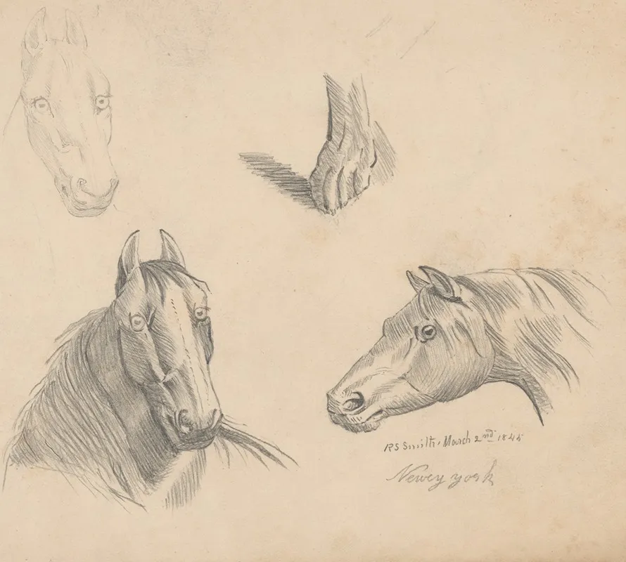 Pencil Exercise No 1 Horse Heads by Richard Sanger Smith - Canvas Print