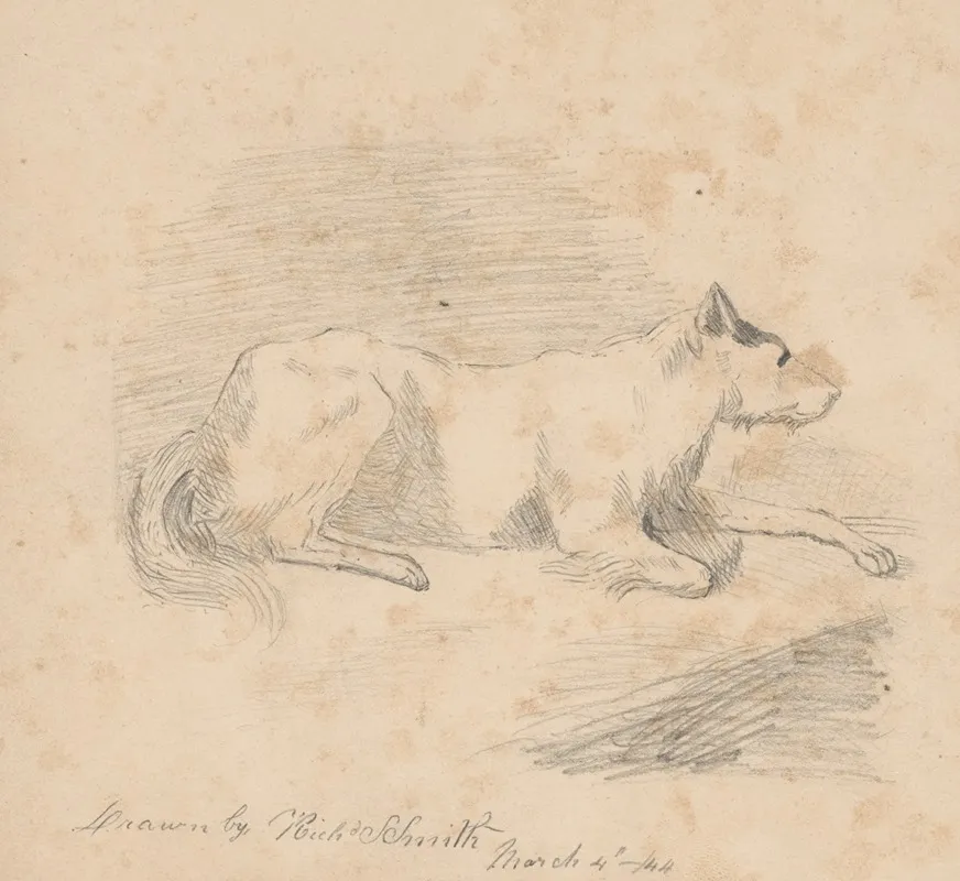 Pencil Exercise No 2 Lying Dog