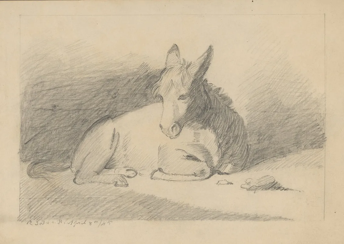 Pencil Exercise No 5 Donkey by Richard Sanger Smith - Canvas Print