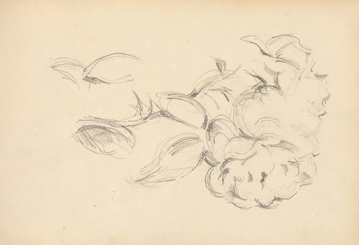Peonies 2 by Paul Cézanne - Canvas Print
