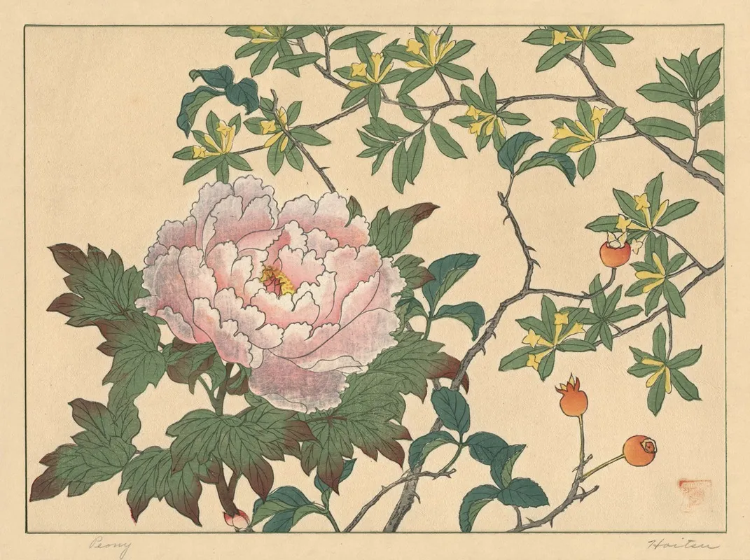 Peony 2