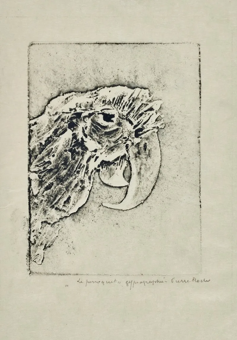 Perroquet by Pierre Roche - Canvas Print