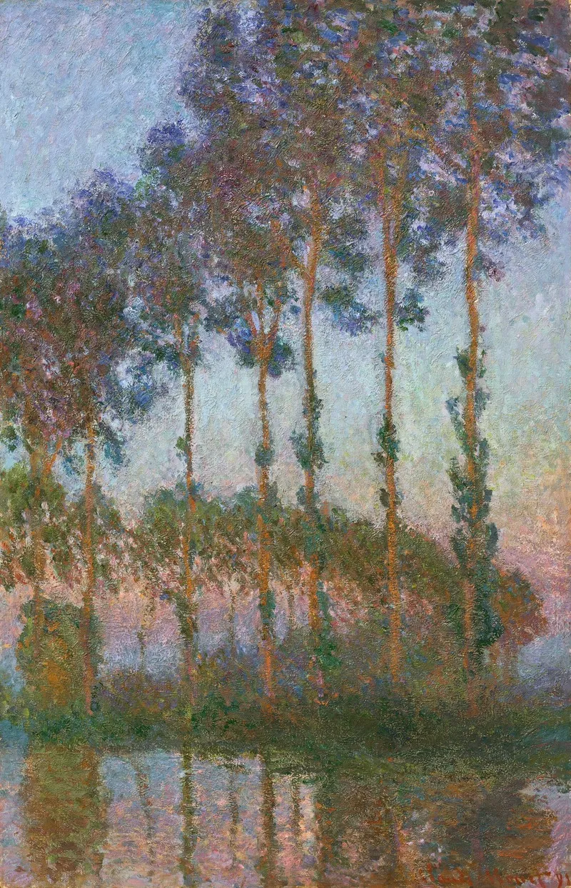 Peupliers Au Bord De Lepte Crepuscule