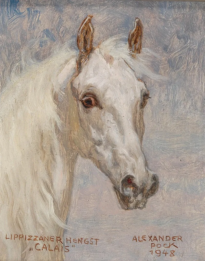 Pferdeportrat Calais