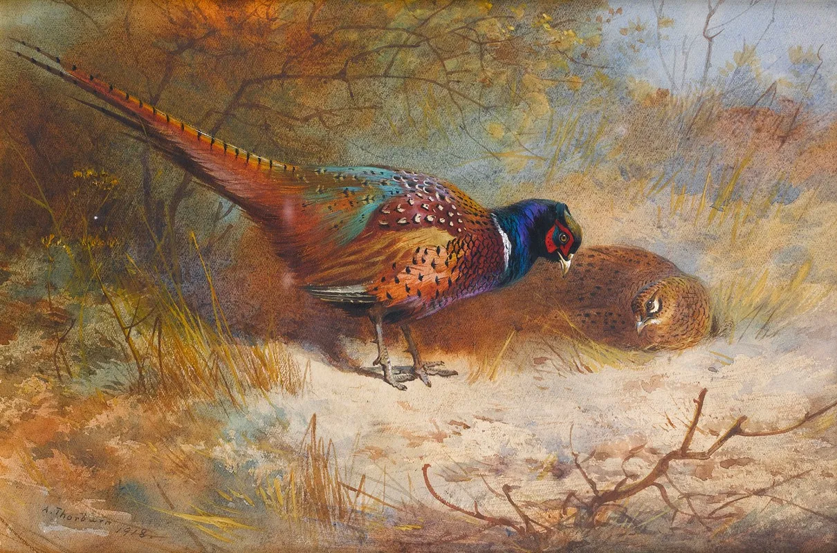Pheasants 3 by Archibald Thorburn - Canvas Print