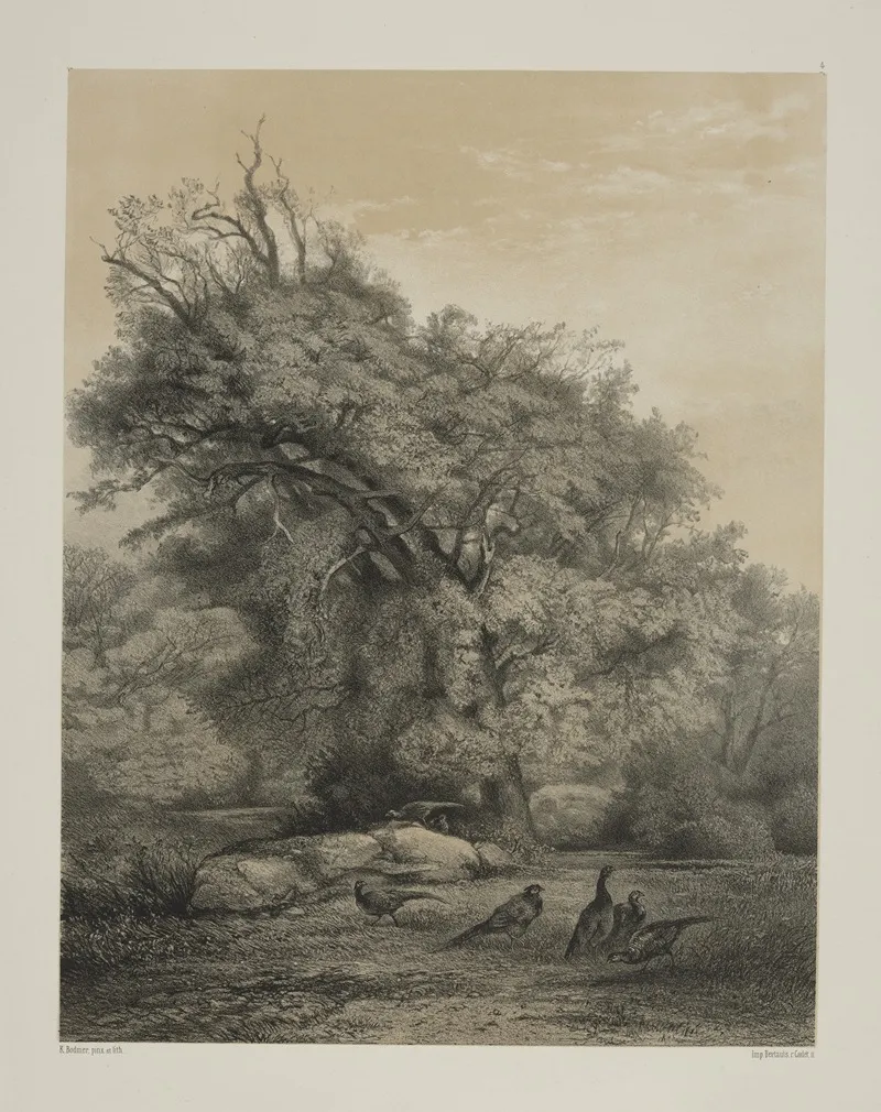 Pheasants 5 by Karl Bodmer - Canvas Print
