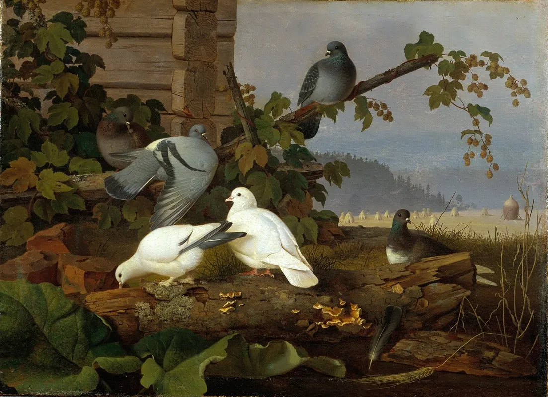 Pigeons by Ferdinand von Wright - Canvas Print
