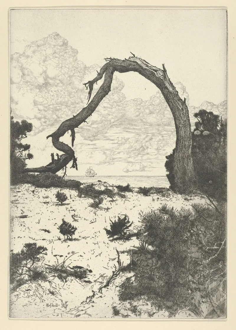 Pine Arch by Ernest Haskell - Canvas Print