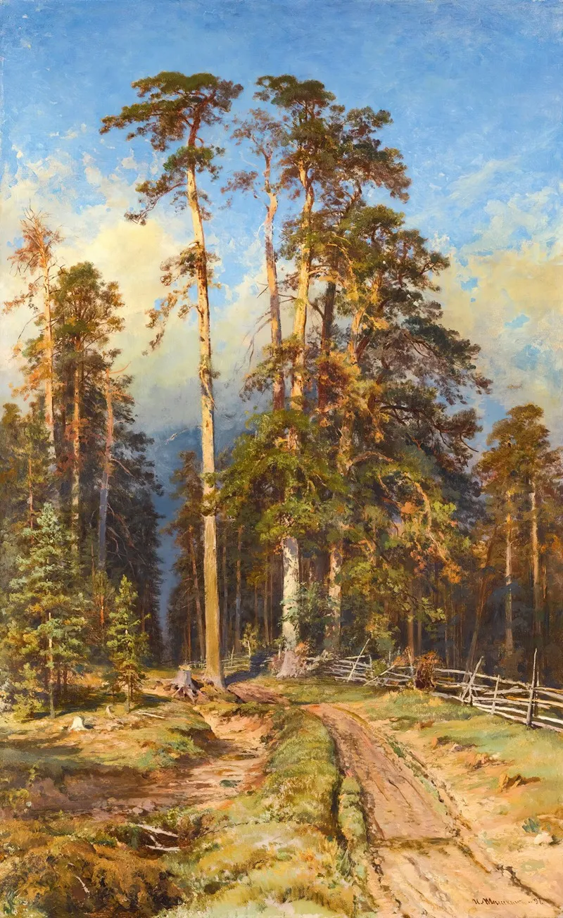 Pine Forest 2 by Ivan Ivanovich Shishkin - Canvas Print