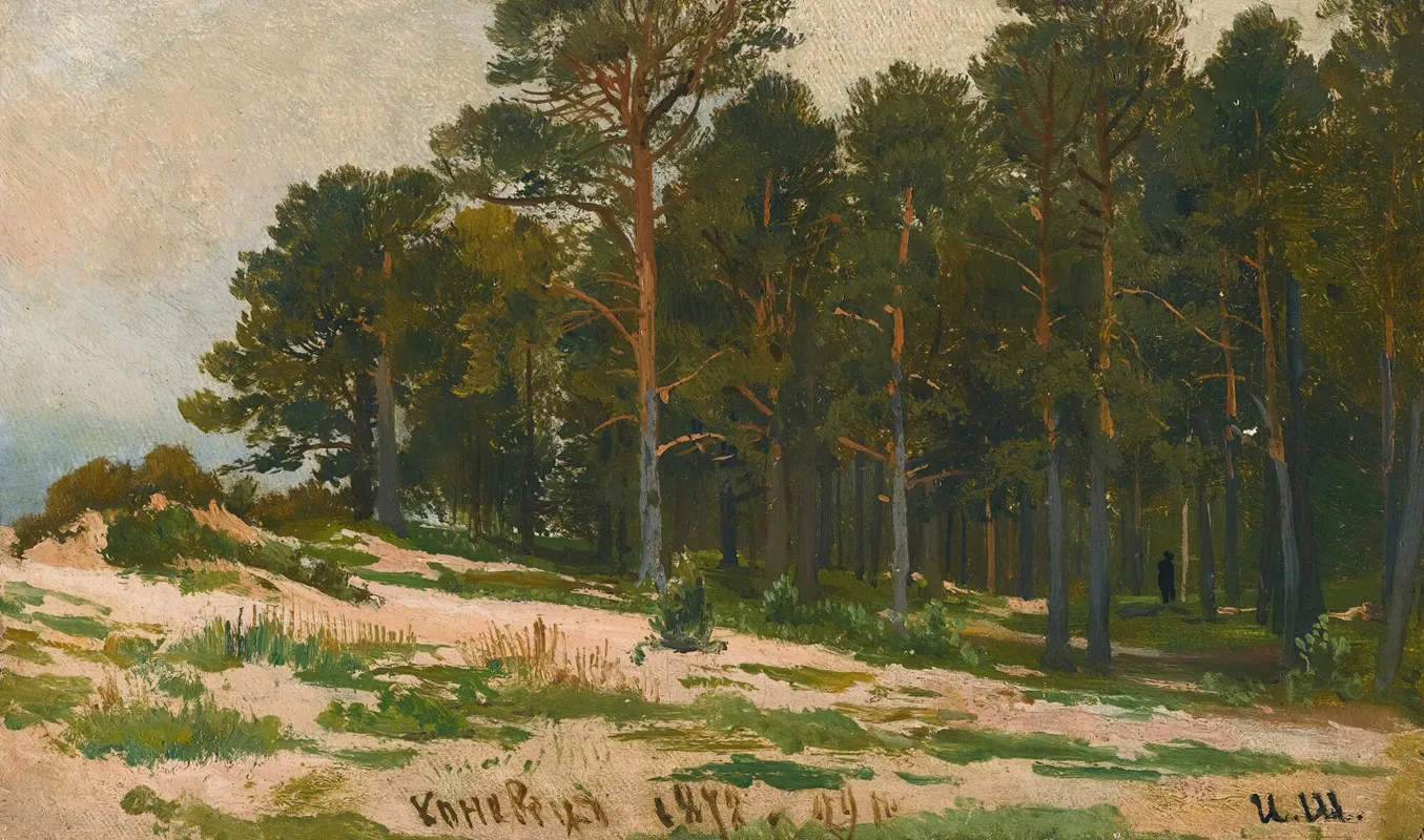Pine Forest by Ivan Ivanovich Shishkin - Canvas Print