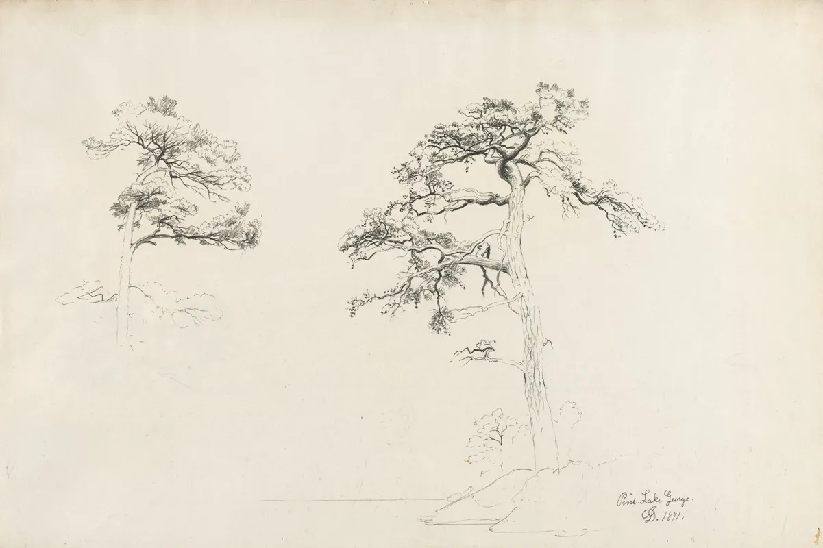 Pine Lake George by David Johnson - Canvas Print