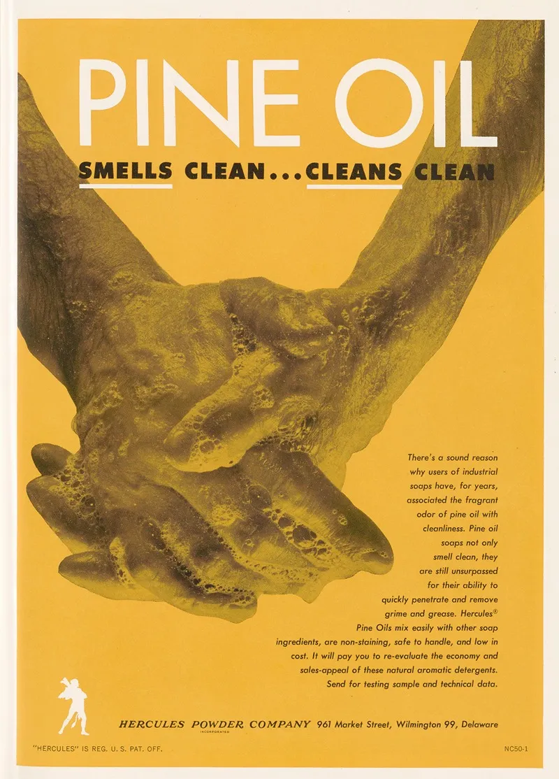 Pine Oil Smells Clean Cleans Clean