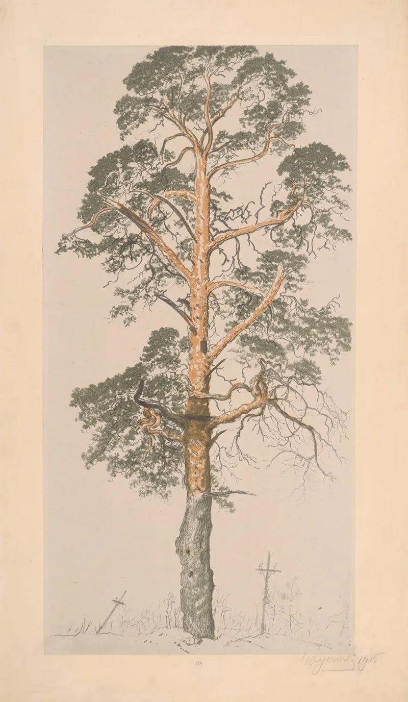 Pine Tree From The Cemetery In Volchetsk by Leon Wyczółkowski - Canvas Print