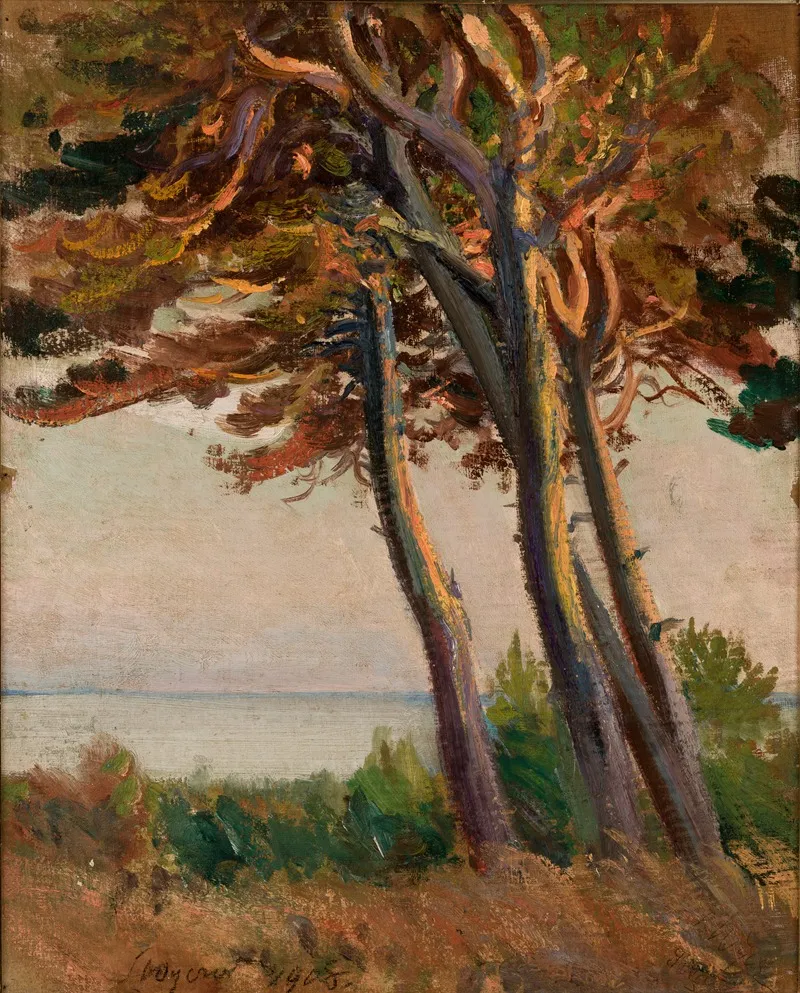 Pines At Polaga 2 by Leon Wyczółkowski - Canvas Print
