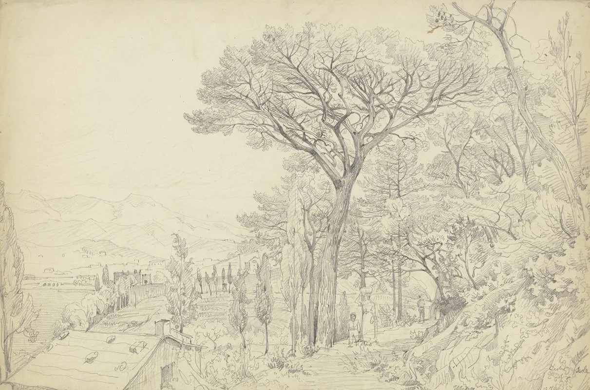 Pines On The Riviera by Carl Morgenstern - Canvas Print