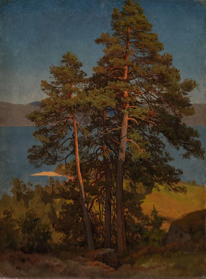 Pinetrees