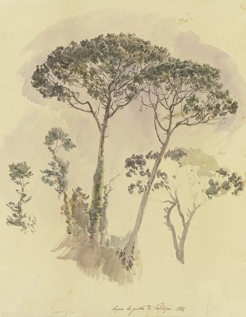 Pinien Oberhalb Der Grotte Von Posilipo