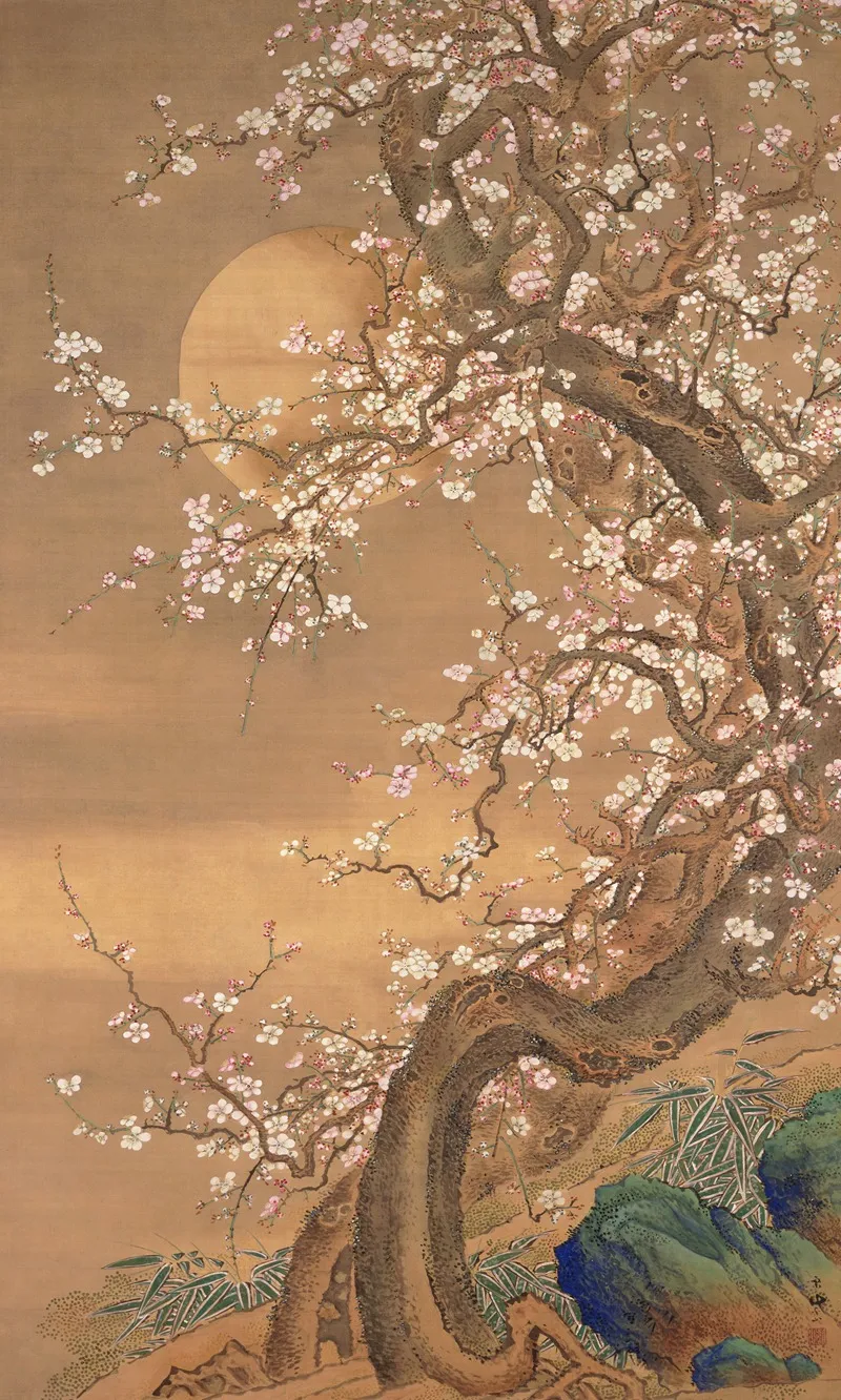 Pink And White Plum Blossoms In Moonlight by So Shizan - Canvas Print
