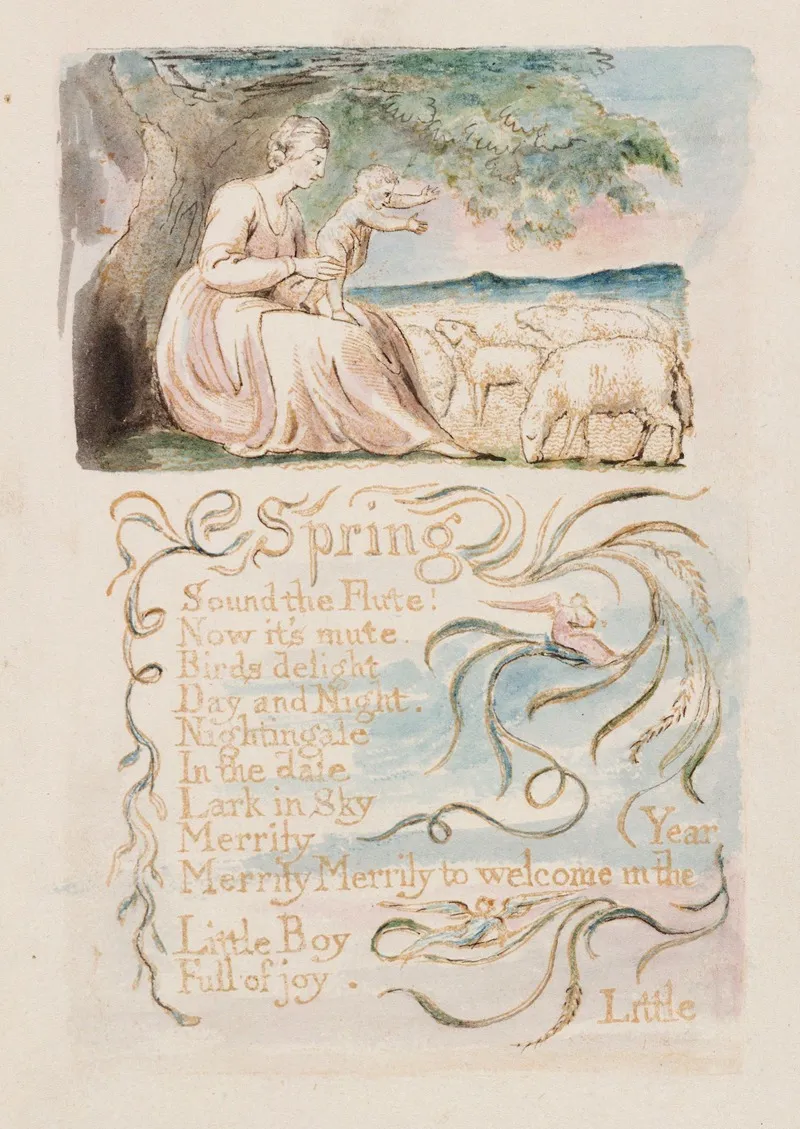 Pl 7 Spring