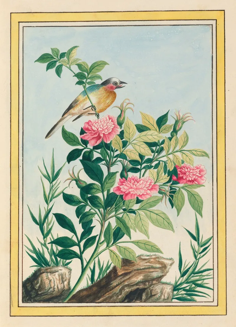 Plantes De Chine Pl 005