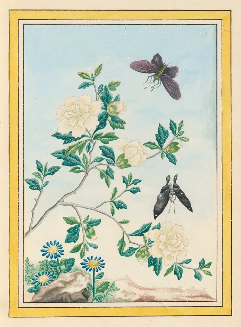 Plantes De Chine Pl 017 by Pierre Joseph Buchoz - Canvas Print