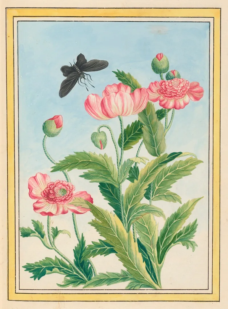 Plantes De Chine Pl 025 by Pierre Joseph Buchoz - Canvas Print