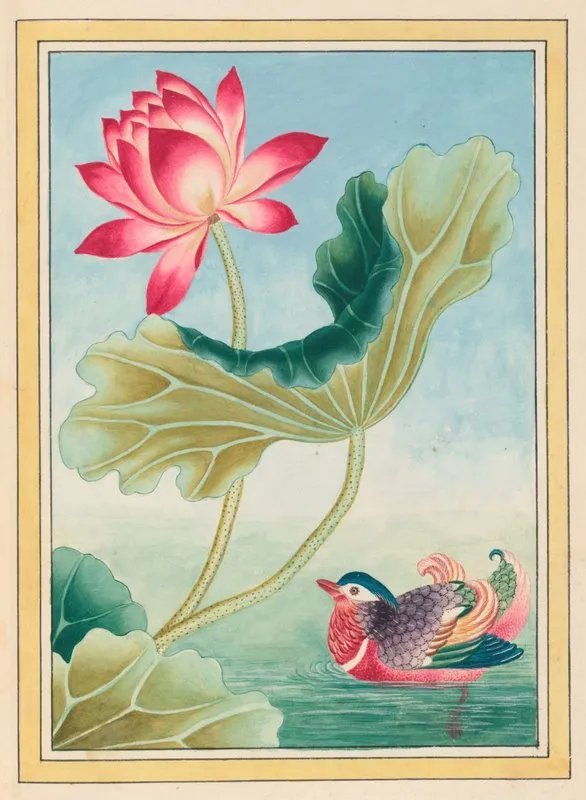 Plantes De Chine Pl 026 by Pierre Joseph Buchoz - Canvas Print