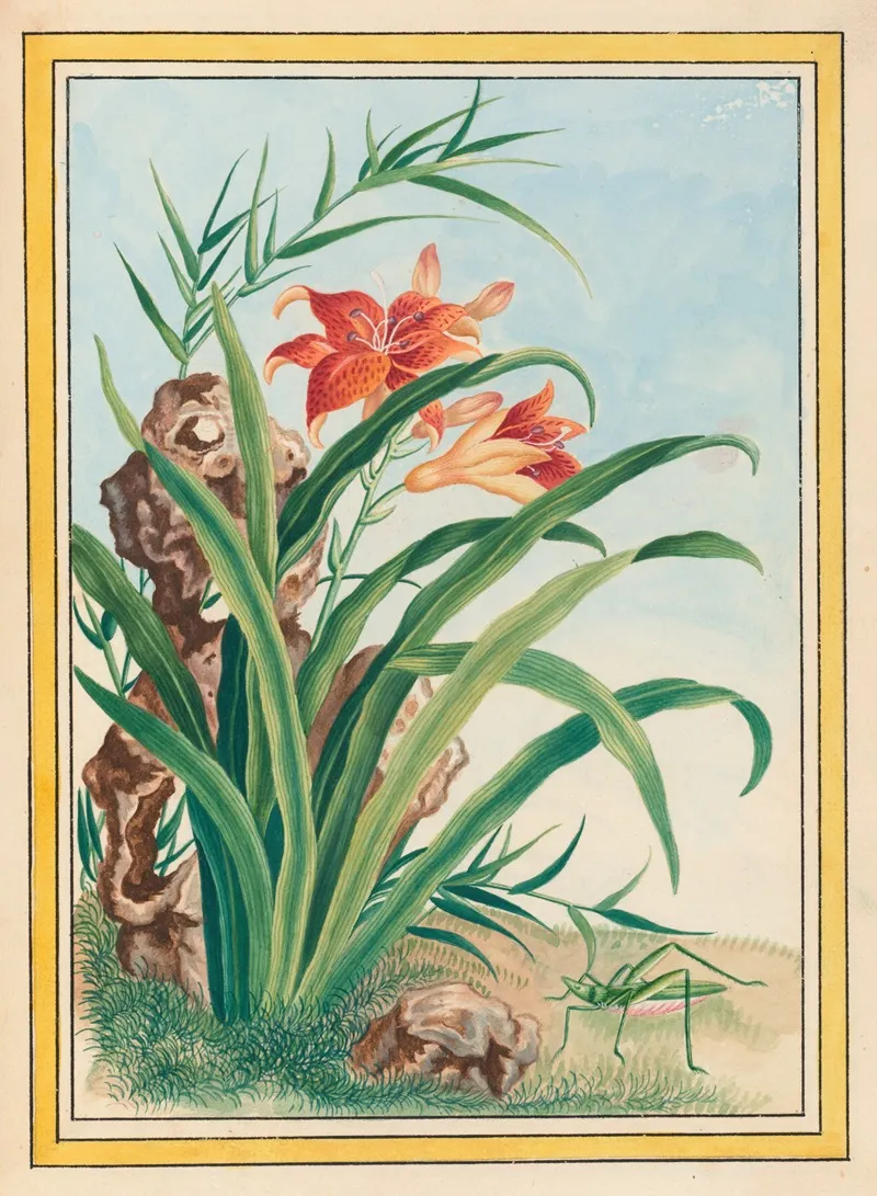 Plantes De Chine Pl 034 by Pierre Joseph Buchoz - Canvas Print