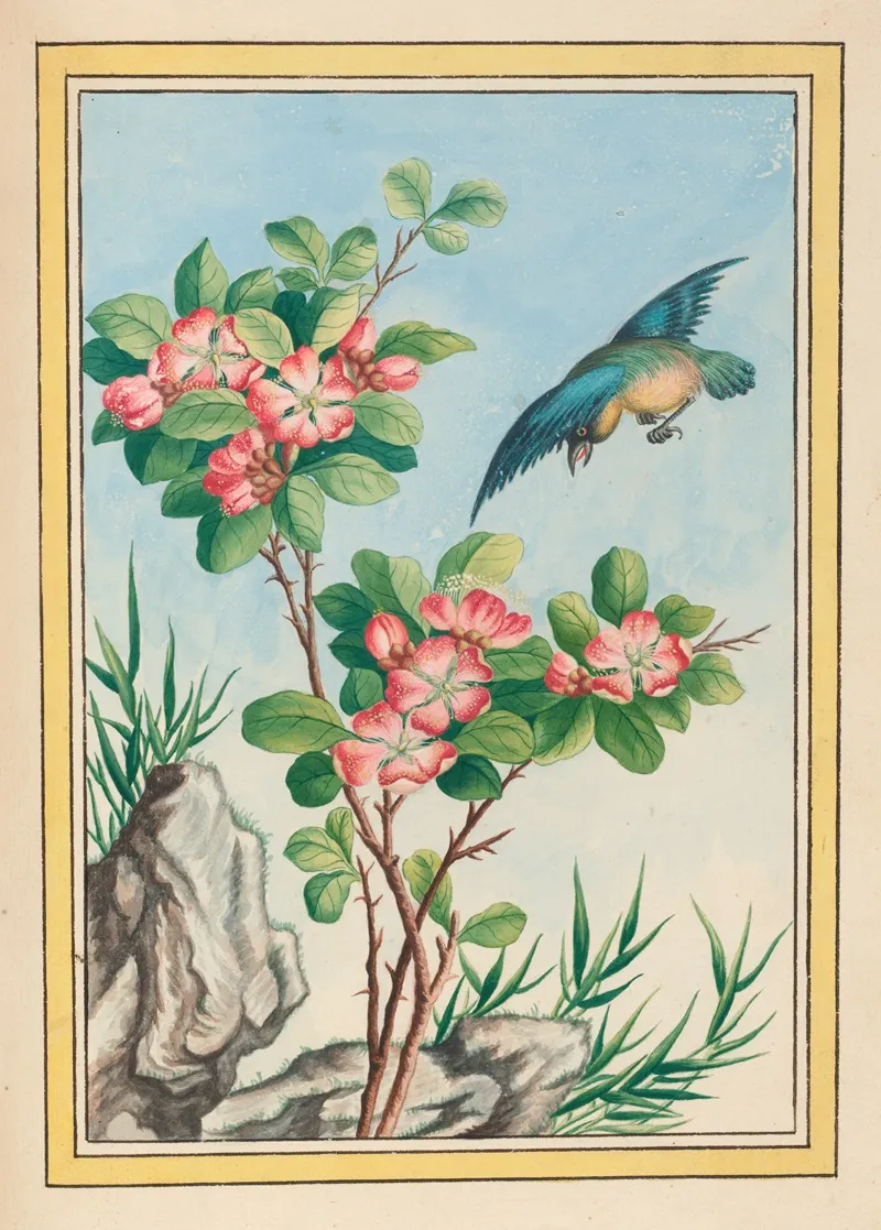 Plantes De Chine Pl 045