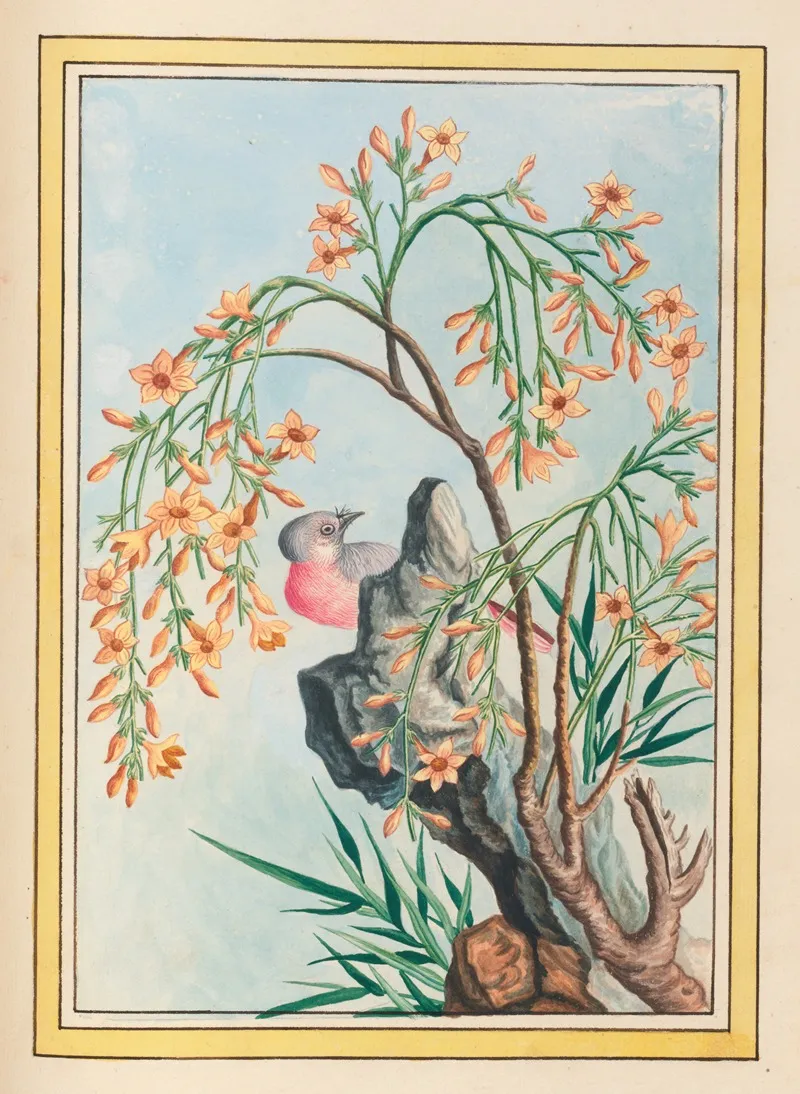 Plantes De Chine Pl 062 by Pierre Joseph Buchoz - Canvas Print