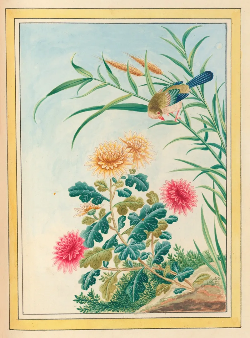 Plantes De Chine Pl 075 by Pierre Joseph Buchoz - Canvas Print