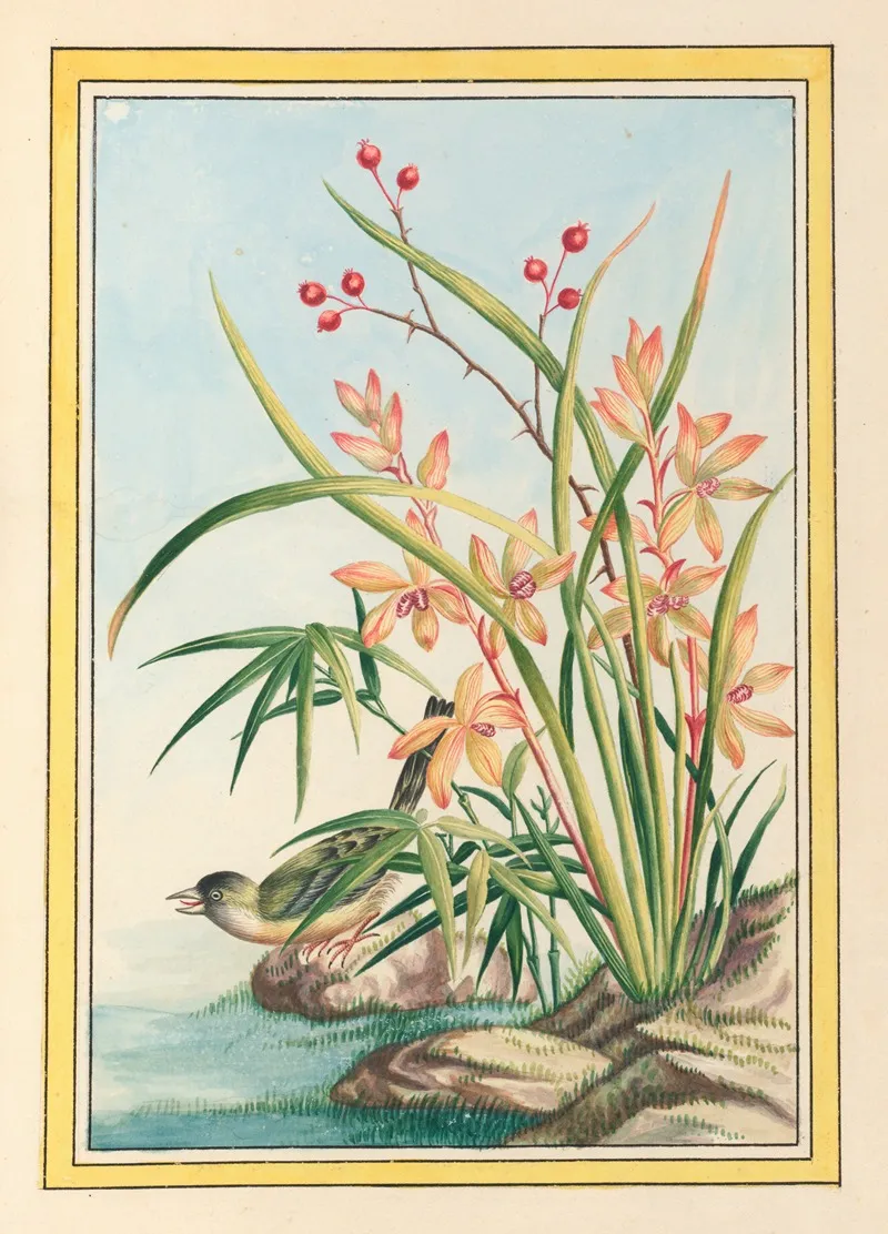 Plantes De Chine Pl 097 by Pierre Joseph Buchoz - Canvas Print