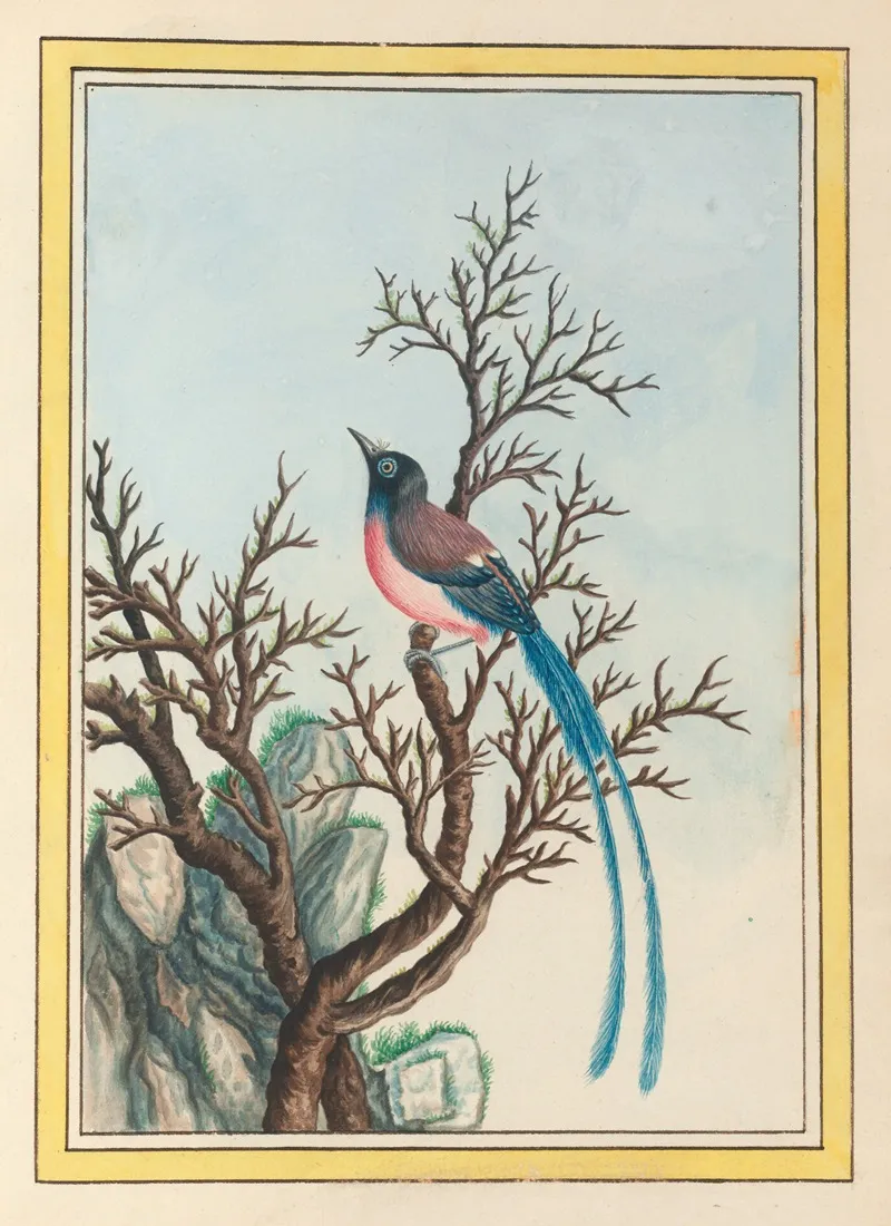 Plantes De Chine Pl 099