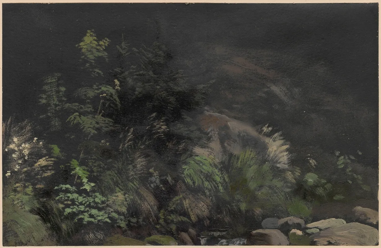 Plants On Rocks by Adolf Dressler - Canvas Print