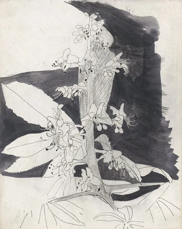 Plantstudie Brandnetel