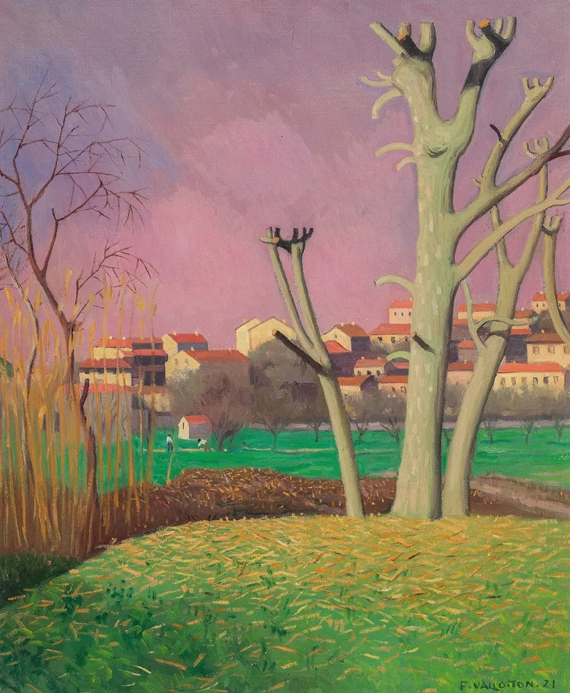 Platanes Ebranches Cagnes by Félix Vallotton - Canvas Print