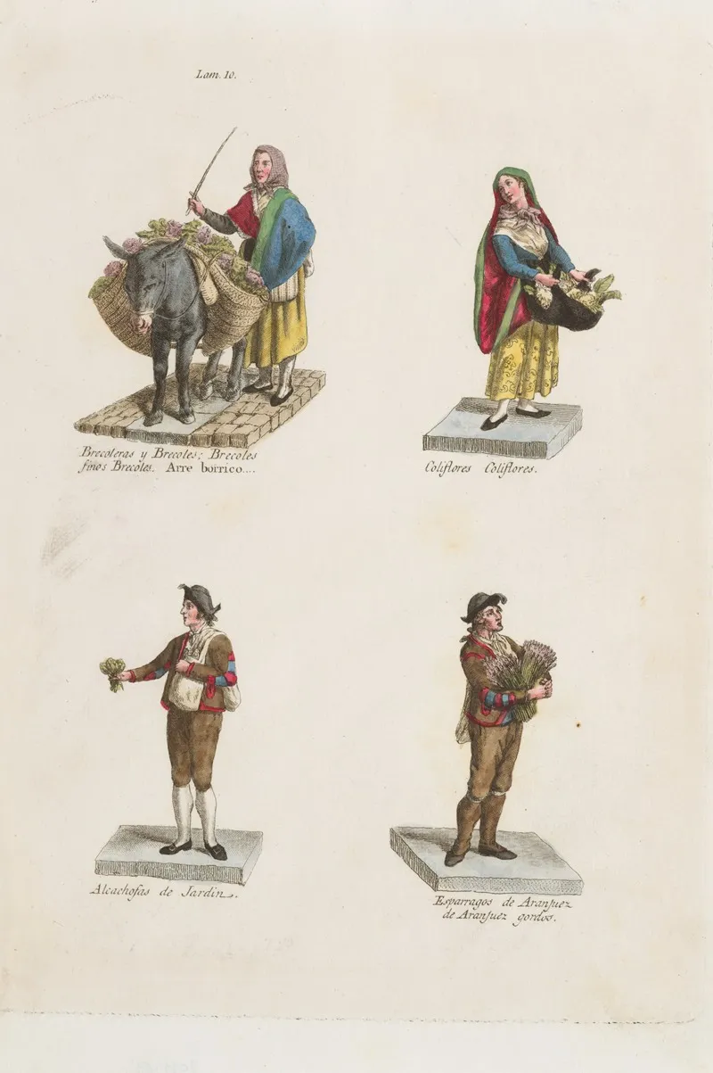 Plate 10 Four Street Vendors From Madrid Selling Broccoli Cauliflower Artichokes And Asparagus by Miguel Gamborino - Canvas Print