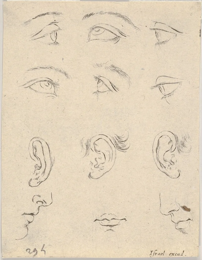 Plate 3 Six Eyes Three Ears Two Profiles And A Mouth by Stefano Della Bella - Canvas Print