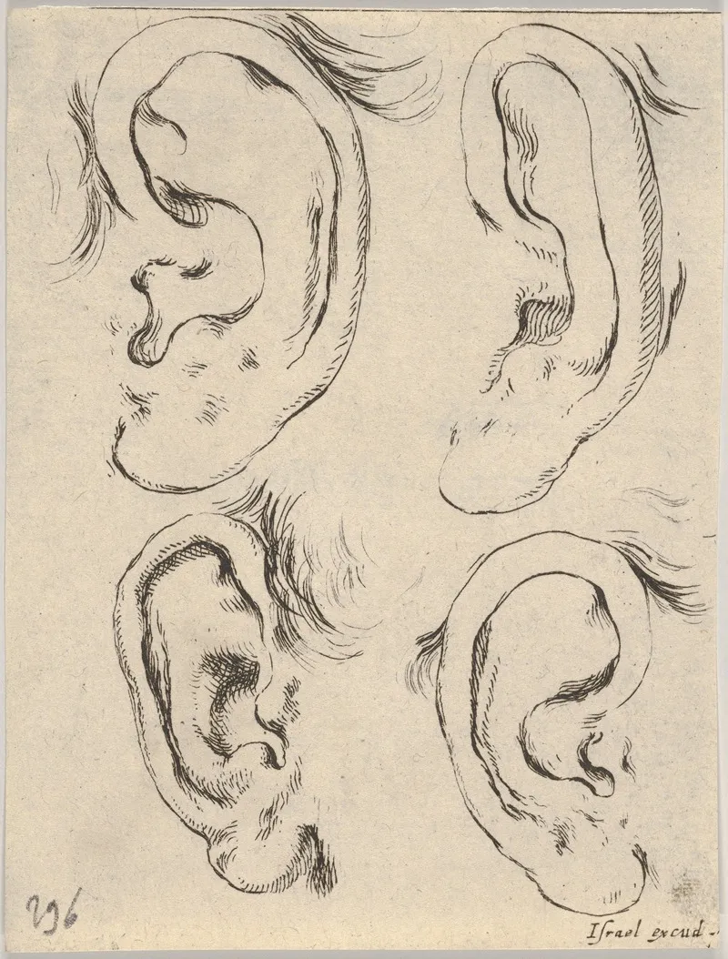Plate 5 Four Ears by Stefano Della Bella - Canvas Print