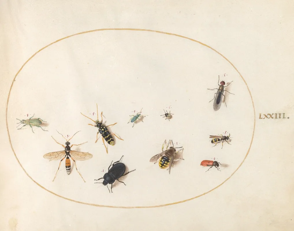Plate 73 Ten Insects
