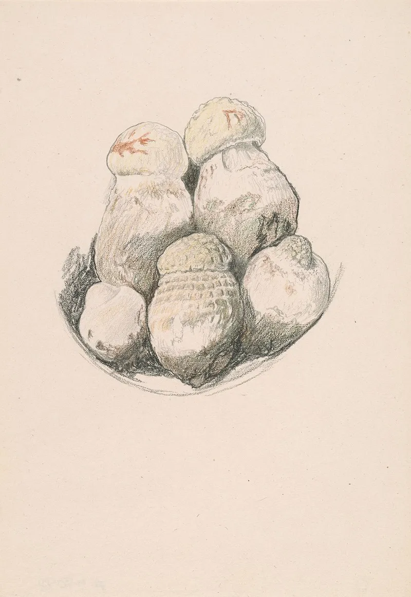 Plate Of Mushrooms