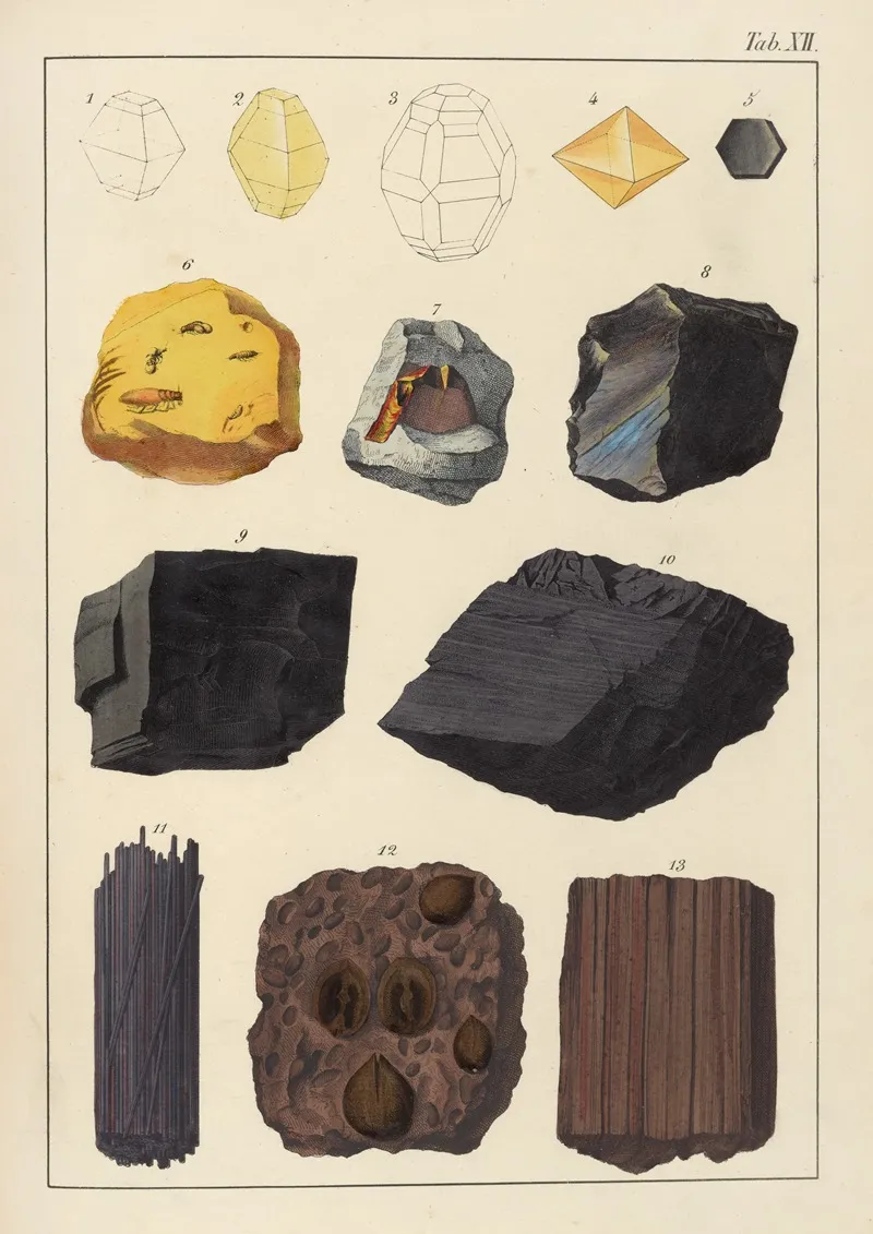 Plate Xii Sulphur Honey Stone Graphite Coal Lignite by Johann Gottlob Kurr - Canvas Print