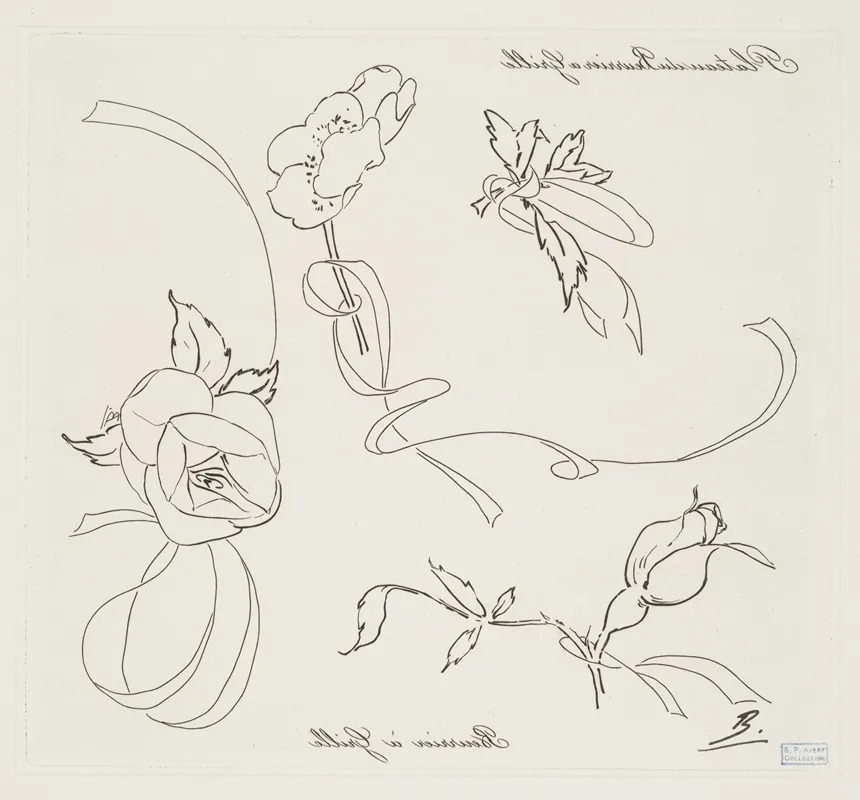 Plateau Du Beurrier A Grille by Félix Bracquemond - Canvas Print